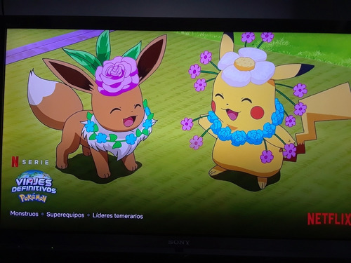 Imagen 6 de 6 de Televisor Sony 40 Pulgadas