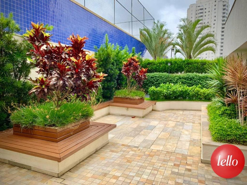 Apartamento - Ref: 165319