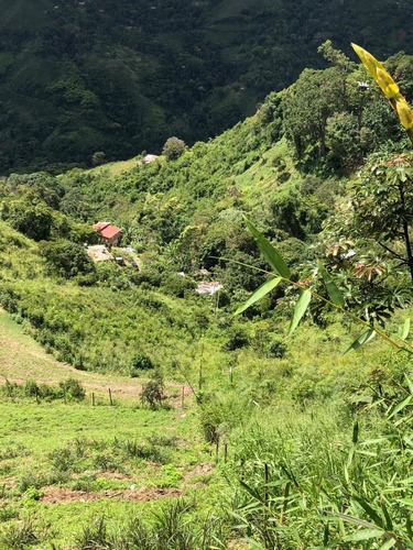 Venta De Lote De Terreno En Sabaneta Del Hatillo, Mcpio El Hatillo, Caracas. Mr