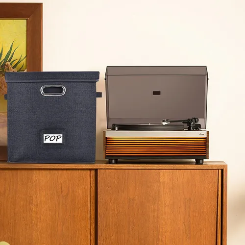 Caja De Almacenamiento De Discos De Vinilo Zedkeho Black Con