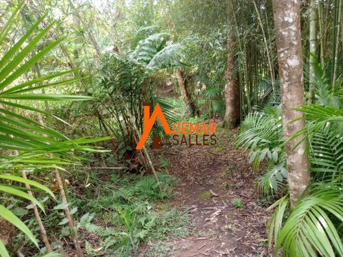 Imagem 19 de 30 de Chacara - Ch00120 - 70787182