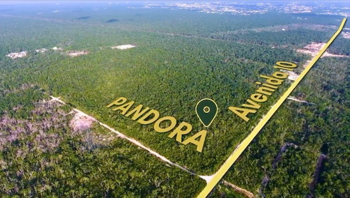Pandora Avenida 10:  Tulum, Terreno De 642 M2, Tu Inversión 