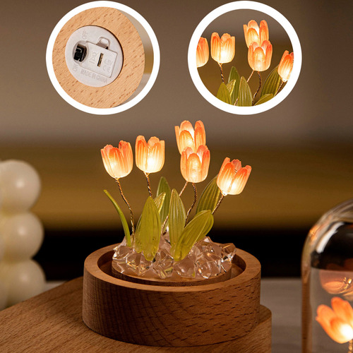 O Diy Tulips Night Light Kit, Proyecto De Arte Y Manualidade