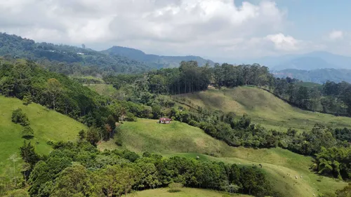 Vendo Permuto Finca Líbano Tolima