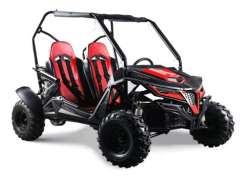 Utv Side By Side 200cc Tipo Raizer