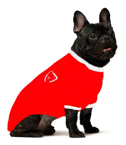 Imagen 3 de 6 de Remera Futbol Para Perros Grandes Calidad Y Diseño
