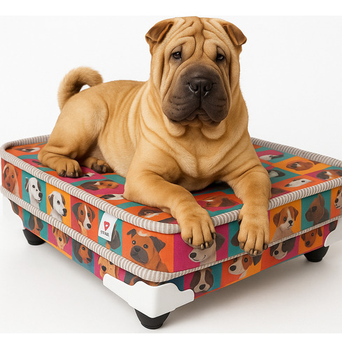 Cama Box Conjugada Pet Para Cachorros E Gatos 45x58x27 Cm Cor Colorido