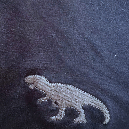 Short Bermuda Algodon Bordado Dinosario T- Rex Niño