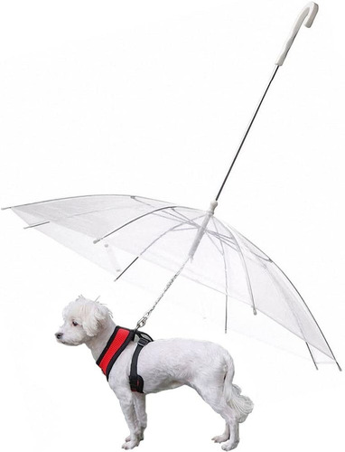 Paraguas Transparente Para Perros