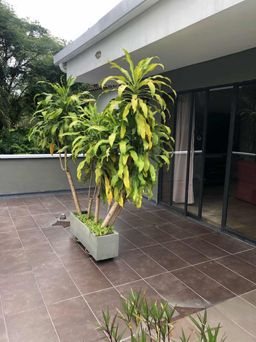 Linda Casa En Pance