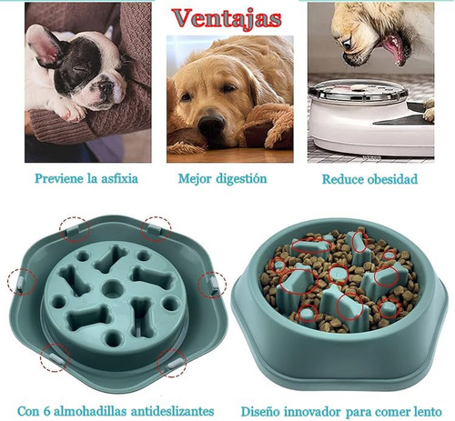 Genérico Plato Para Perro, Plato Entrenador Para Perro,