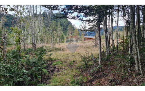 Parcela Con Bosque Nativo En Puerto Varas