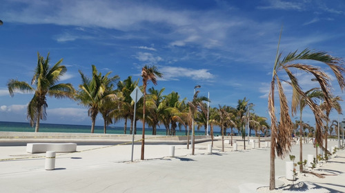 Imagen 14 de 14 de Terrenos Exclusivos En Venta En Mérida Cerca De La Playa.