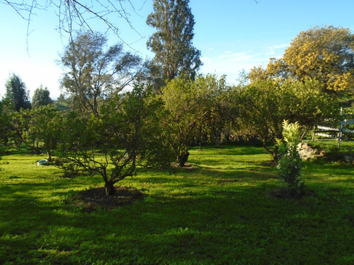 Parcela Con 2 Construcciones. Cercana Acceso Troncal Sur...