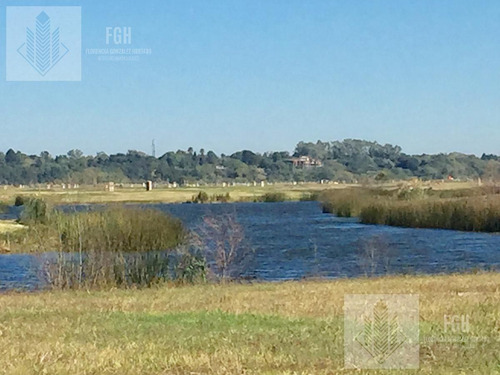 Imagen 5 de 30 de Lote Laguna Naudir