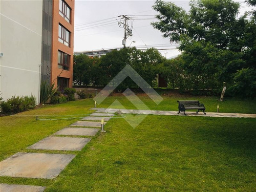 Imagen 7 de 21 de Departamento En Venta En La Serena