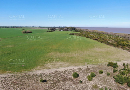 Campo Sobre El Mar En Carmelo