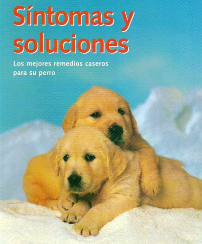 Sintomas Y Soluciones: Remedios Caseros Para Perros