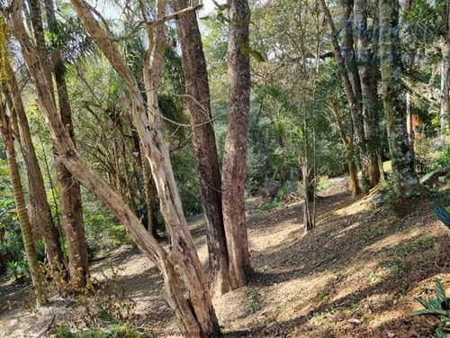 Imagem 3 de 29 de Chácaras Em Condomínio À Venda Em Atibaia/sp - Compre O Seu Chácaras Em Condomínio Aqui! - 1478650