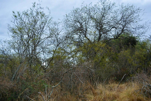 Hectareas En Cañada La Negra