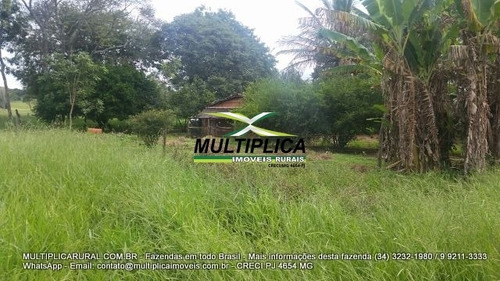 Imagem 6 de 15 de Fazenda Uberlândia Mg Para Pecuária Ou Soja, Milho 82,03 Hectares - 358