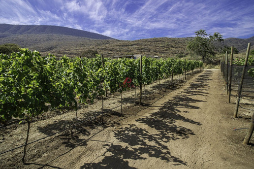 Terrenos En Venta En Jocotepec, Jal
