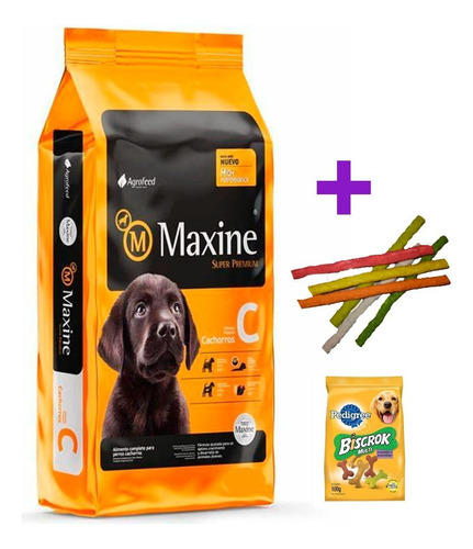 Maxine Perro Cachorro 24kg Mas Regalo Y Envio