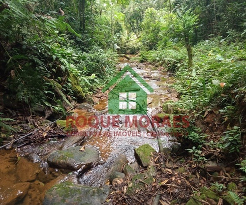Imagem 10 de 28 de Sítio Medindo 96.800m² No Vale Do Ribeira Sp Ref.: 0903
