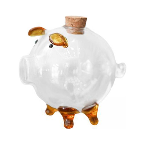 5 Hucha Transparente, Caja Para Ahorrar Dinero, Botella De