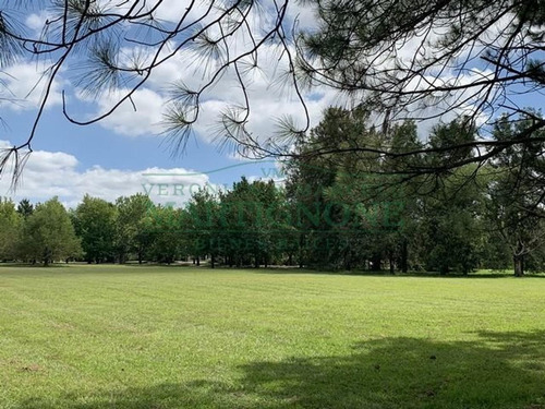 Imagen 6 de 7 de Excelente Terreno 4166m2 - La Escondida Manzanares Pilar