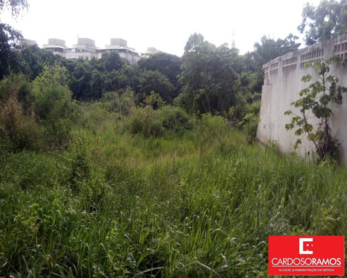 Imagem 10 de 12 de Terreno - Te00101 - 34058162