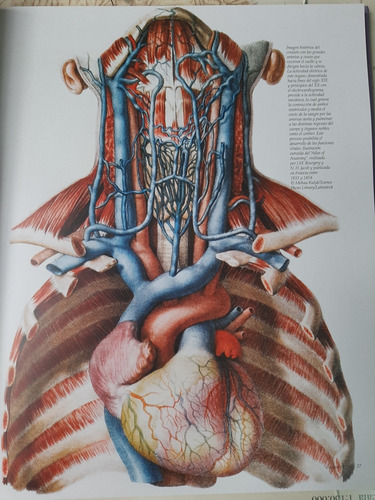 Historia Del Corazón. Astrazeneca. 2007