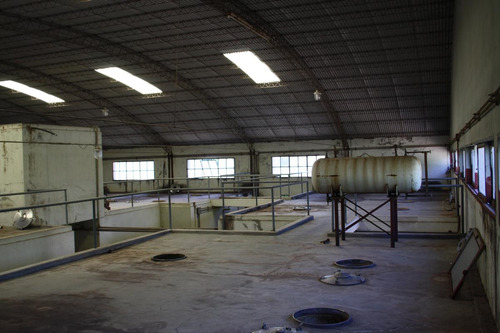 Bodega - Mendoza