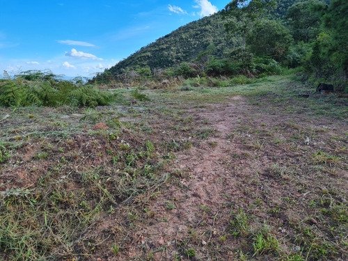 Imagem 11 de 13 de Chácara Vista Privilegiada Santo Antônio Do Pinhal - Sp - Centro - St-11501