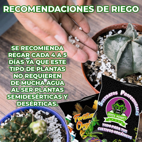 Sustrato Cactus Suculentas Con Fertilizante