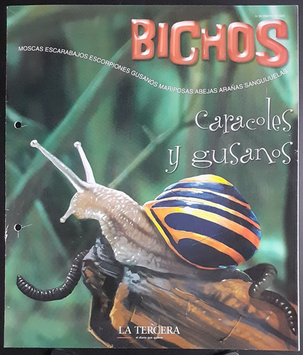 Icarito, Bichos / Caracoles Y Gusanos.