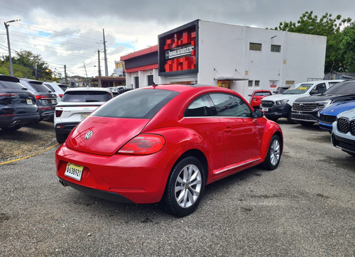 Beetle 2015