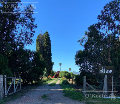 Imagen 11 de 15 de Campo En Venta De 113 Has En Balcarce 90 % Agrícola - Suelos Clase 1 Y 2