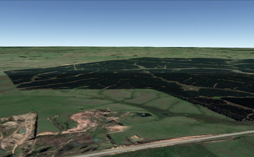Imagen 4 de 7 de Venta Campo Treinta Y Tres 50 Has Cantera Balasto