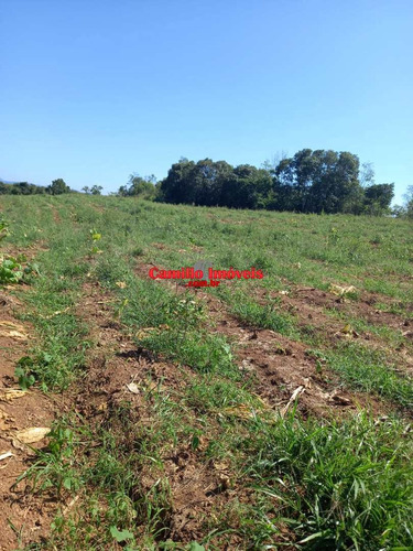 Imagem 11 de 11 de Chácara Em Águas De Chapecó - R$ 291 Mil - V1673