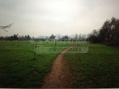 Imagen 4 de 5 de Agrícola En Venta En Colina
