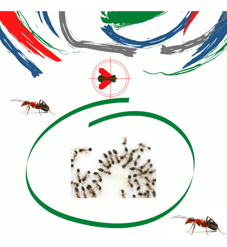 Kit Anti Formigas Urbanas Formitap 10 Un + Gel 7 Belo 10 Un