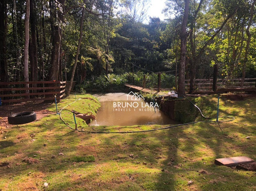 Imagem 11 de 19 de Chácara À Venda Em Igarapé, Bairro Batatal, - Te0261
