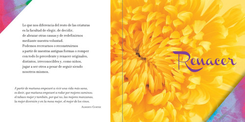 Renovarse Es Vivir - Autor: Laura Ferri - V R Editoras