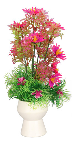 Plantas Para Peceras, Decoraciones Para Acuarios, Que No Des