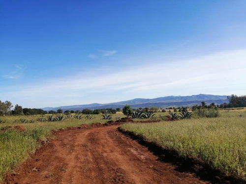 Imagen 6 de 12 de Terreno En Venta San Pablo Ojo De Agua