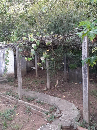 Casa Em Belém Novo Com 2 Dormitórios - Lu430904