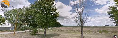 Imagen 1 de 5 de Lote En Venta Sector Extraurbano De #trenquelauquen