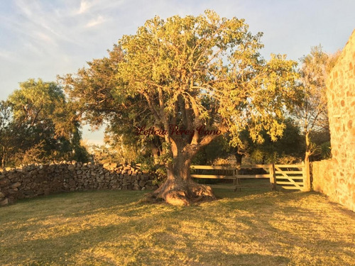 Chacra En Venta En Pueblo Eden, 5 Has- Ref: 17375