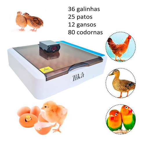 Chocadeira Elétrica Digital Com Rolagem Automática-tika